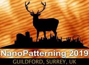NanoPatterning logo